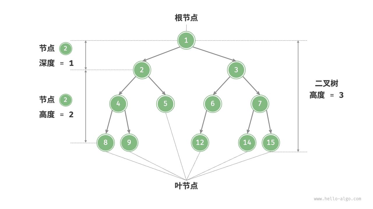 binary_tree_terminology